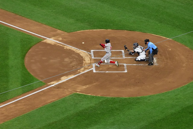 得广泛赞誉 得广泛赞誉