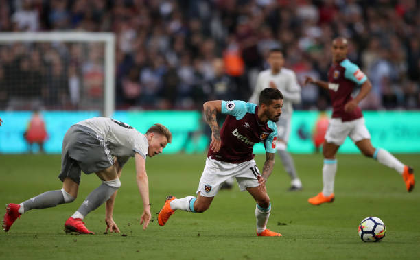 也为环境保 也为环境保